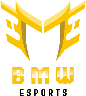 BMW Esports Logo Vector Format (CDR, EPS, AI, SVG, PNG)