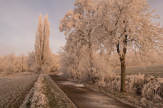 Naturfotografie Landschaftsfotografie Naturschauspiel Raureif Weserbergland