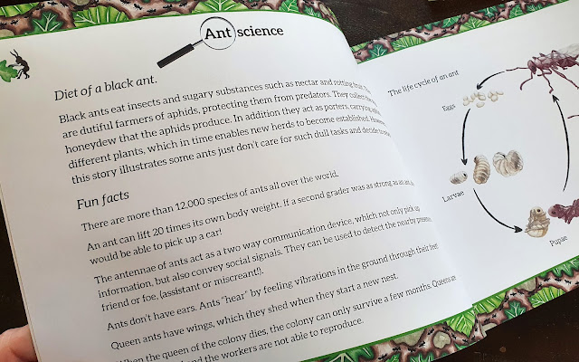 Strange Antics childrens book review inside page ant information