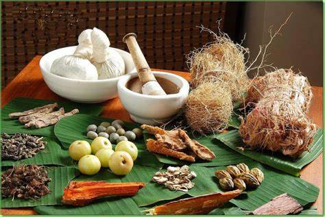 Ancient Indian Medicinal Knowledge of Ayurveda