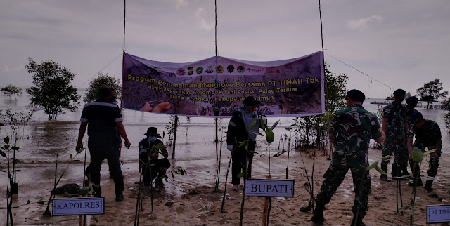 PT Timah Tbk Menanam 2000 Batang Pohon Mangrove di Desa Pongkar