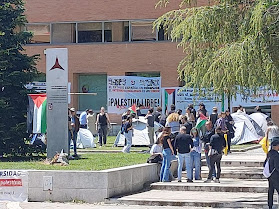 Acampada por Palestina en Madrid