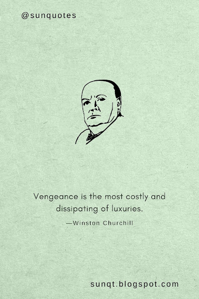 Vengeance is the most costly and dissipating of luxuries.—Winston Churchill