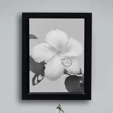 Shop botanical wall frames online in Abuja, Nigeria