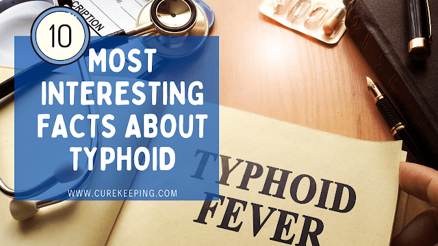 The 10 most interesting facts about typhoid