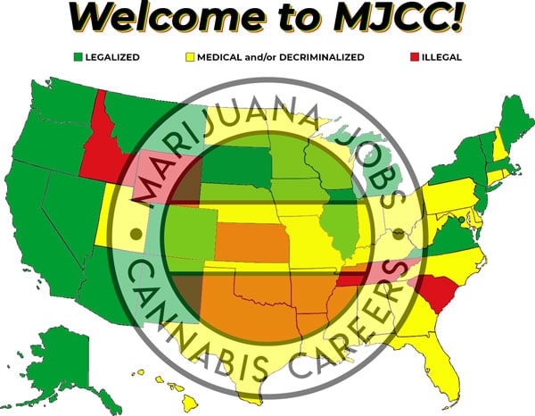 Looking For Cannabis Industry jobs in USA, Here's the blog for you.