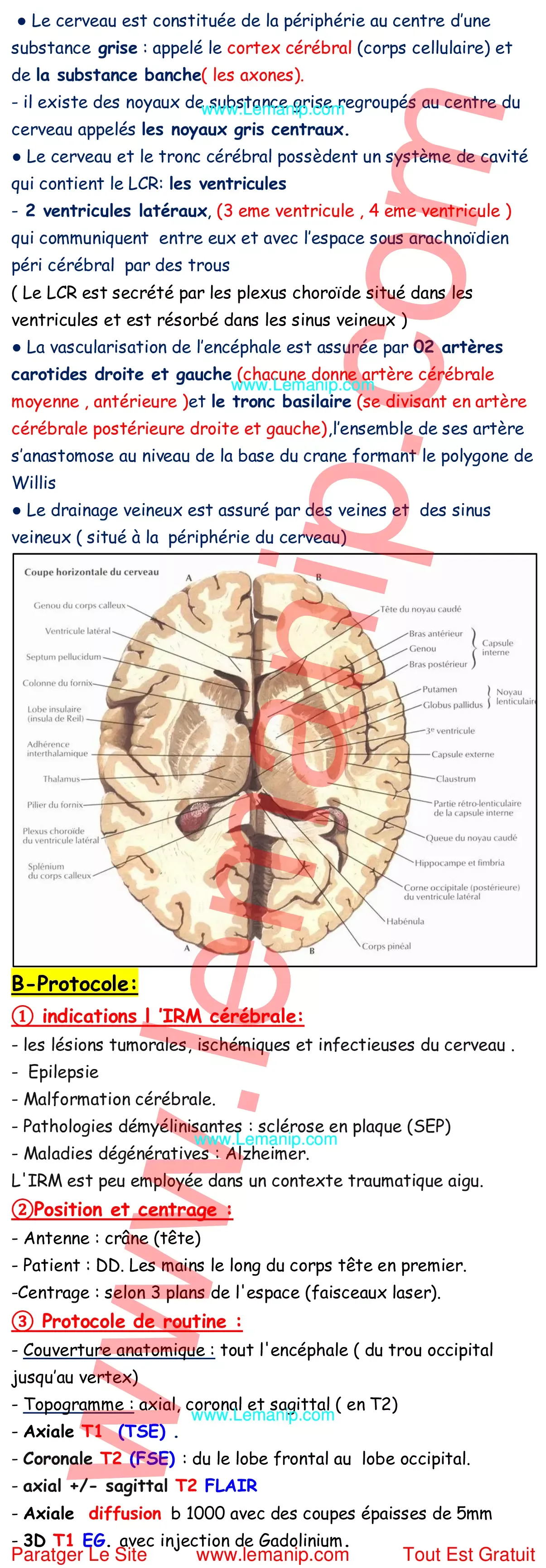 Résumé Cour 1 Du Module Exploration et Sémiologie en IRM 2