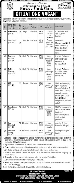 Jobs in Pakistan