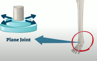 planar joint