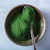 How to Start Spirulina Cultivation for Beginners