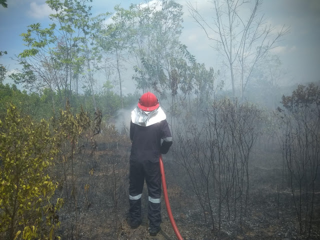 Sigap, Mobil Damkar PT Timah Tbk Padamkan Kebakaran Kebun Warga di Teluk Radang