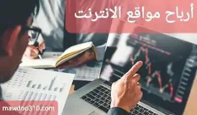 ارباح موقع الانترنت