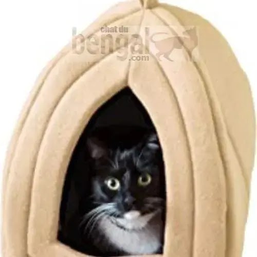 lit pour chat en bois