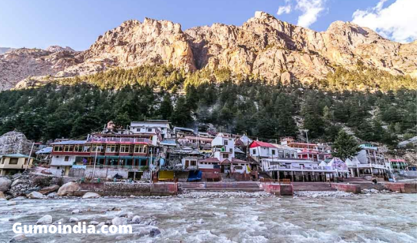 All Facts About Gangotri National Park