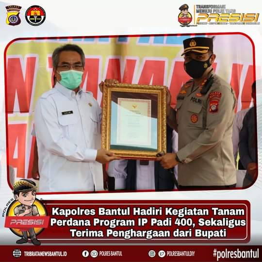 KAPOLRES BANTUL HADIRI KEGIATAN TANAM PERDANA PROGRAM IP PADI 400 SEKALIGUS TRIMA PENGHARGAAN DARI BUPATI