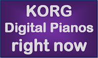 Korg digital pianos right now