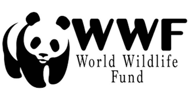 World Wildlife Fund joins chorale of activity subsequent to warming notice