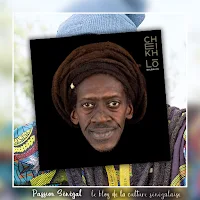 Cheikh Lô - Artiste musicien et chanteur sénégalais - Passion Sénégal