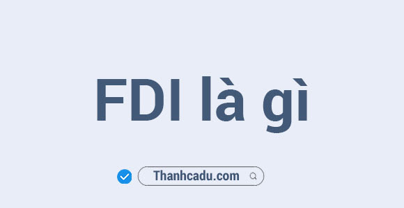 FDI là gì? Các hình thức FDI ở Việt Nam