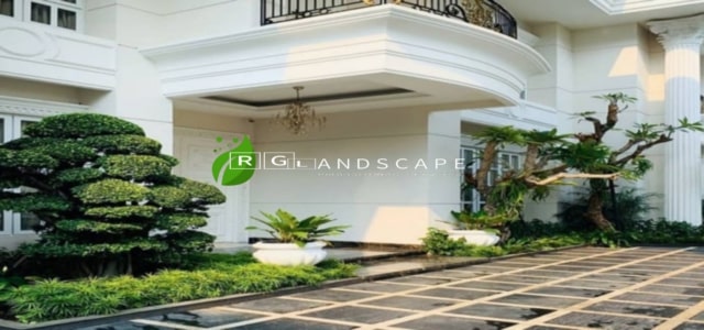 Jasa Taman Regolt Landscape Taman Tropis Minimalis