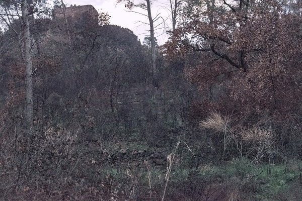 Algún tiempo Después...incendio de Castellví de Rosanes y Martorell