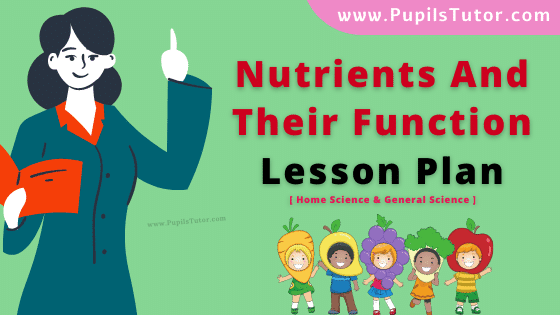 Nutrients And Their Function Lesson Plan For B.Ed, DE.L.ED, M.Ed 1st 2nd Year And Class 6 To 10th Home Science And Physical Education Teacher Free Download PDF On Real School Teaching Skill In English Medium. - www.pupilstutor.com