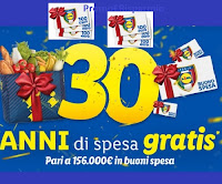 Concorso LIDL "Spesa per 30 anni " : vinci ogni giorno 10 buoni da 100€ e 1 premio da 156.000€ !