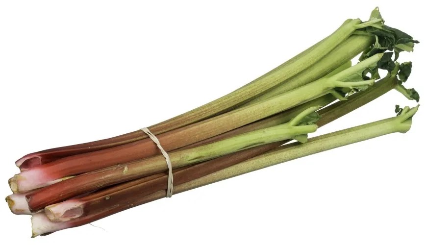 Health benefit of Rhubarb