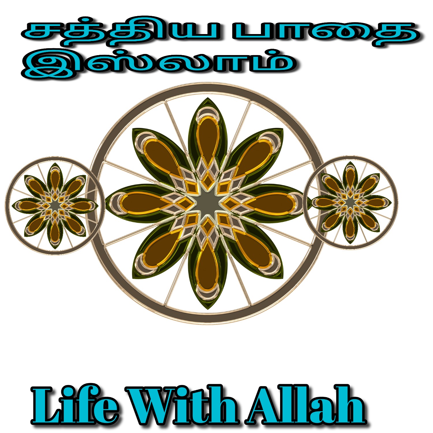 சத்திய பாதை இஸ்லாம் Life With Allah