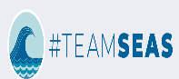 TeamSeas.org Banner image shows a wave and the hashtag #TeamSeas Link opens  in a new tab