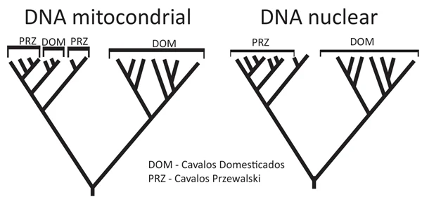 O resultado dessas análises está ilustrado nas figuras a seguir.