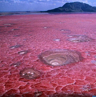 lake-natron