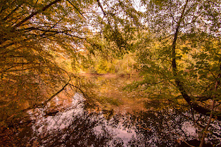 Naturfotografie Herbstfarben Olaf Kerber