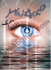 namkeen-panion-ka-safar-novel-pdf-download