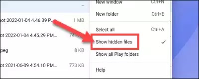 كيفية إخفاء الملفات والمجلدات على جهاز كروم بوك (Chromebook)
