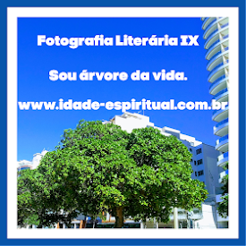 Fotografia Literária IX