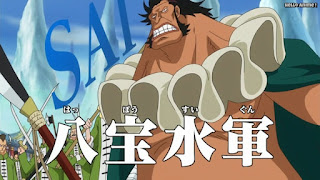 ワンピースアニメ ドレスローザ編 744話 八宝水軍 ドン・サイ | ONE PIECE Episode 744