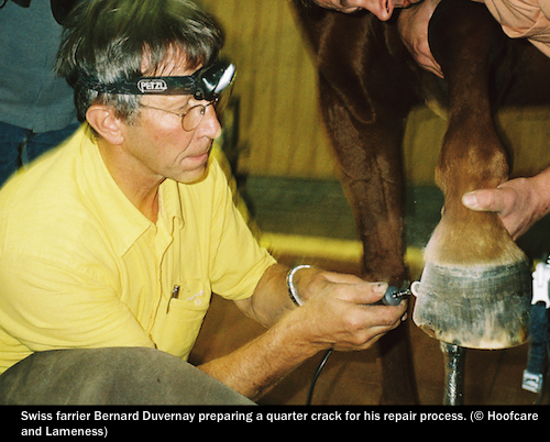 Swiss farrier Bernard Duvernay