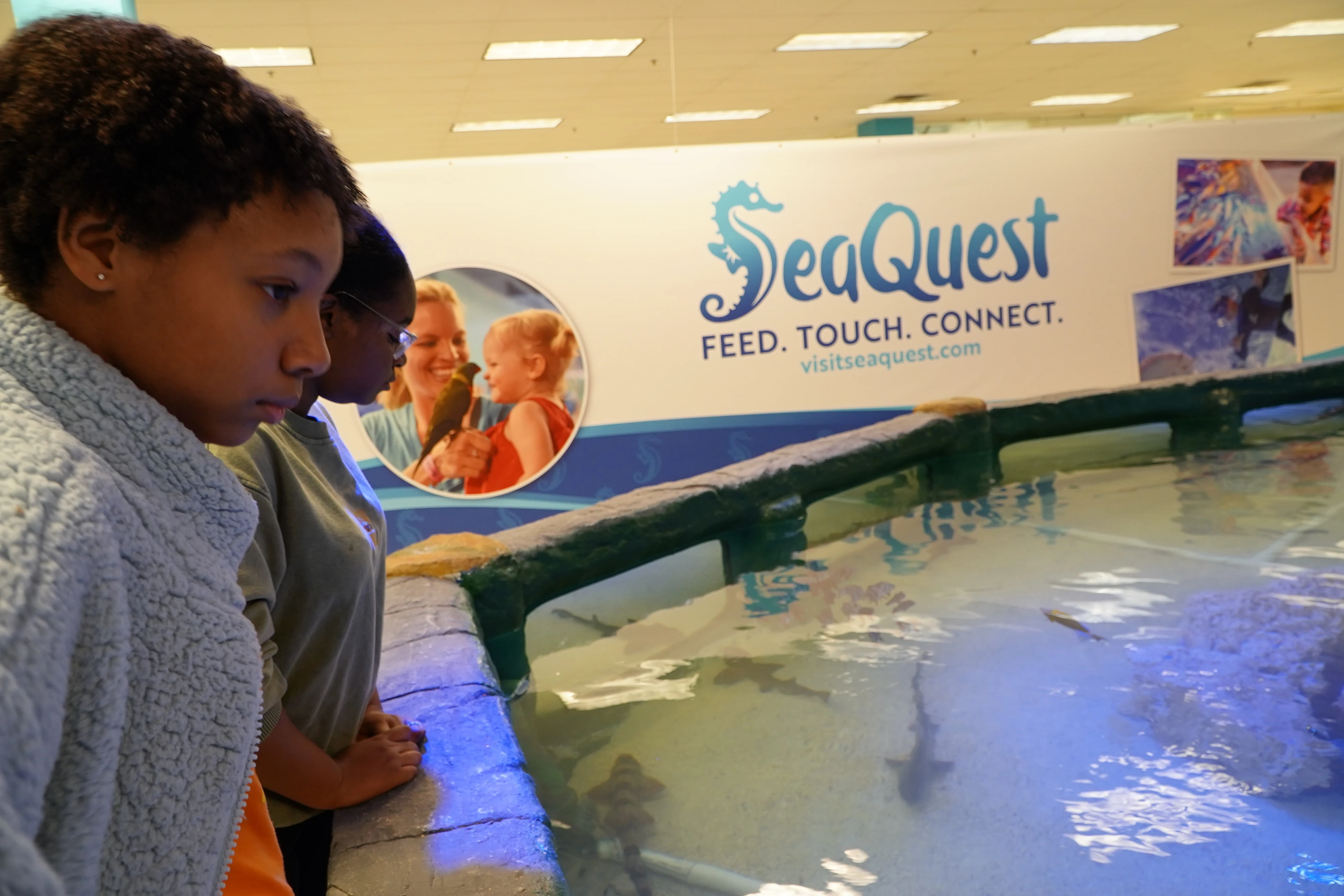 SeaQuest at Stonecrest Mall Review