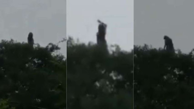  Un escalofriante video muestra a ‘La Llorona’ en un pueblito 