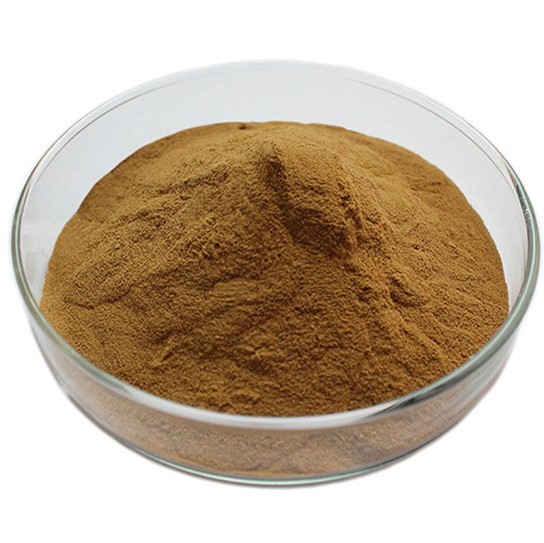 Mushroom extract powder supply in Mumbai | Mushroom supplements | Biobritte mushroom products