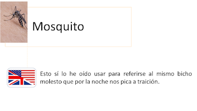 Mosquito