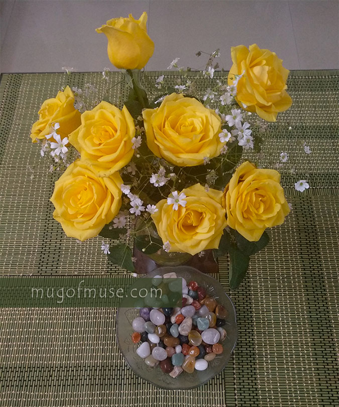 Yellow Roses and a Heart full of Gratitude