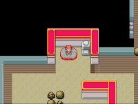 Pokemon Gym Leader's Legacy Screenshot 04