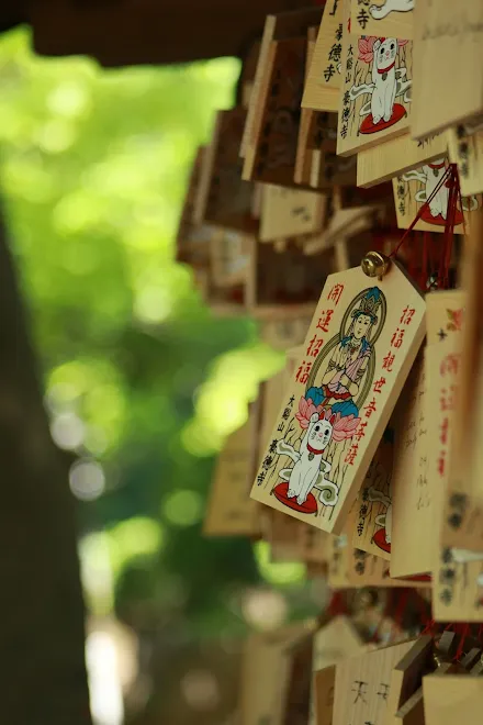 You can purchase cat-themed souvenirs at temples