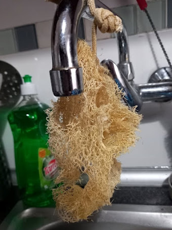 Luffa