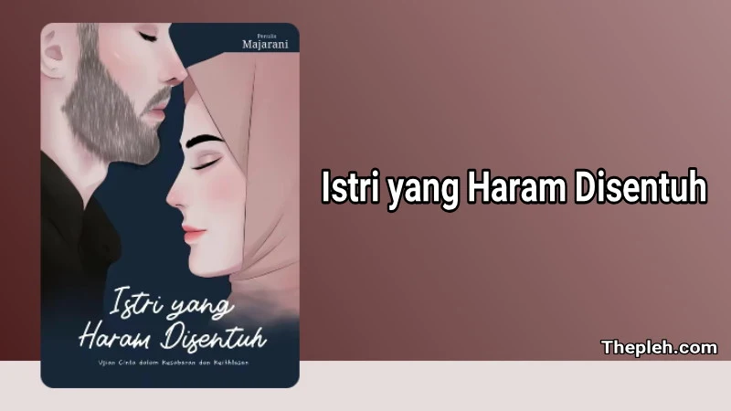 Novel Istri yang Haram Disentuh Gratis