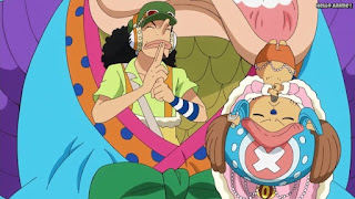 ワンピースアニメ ゾウ編 769話 ルフィ チョッパー ウソップ | ONE PIECE Episode 769