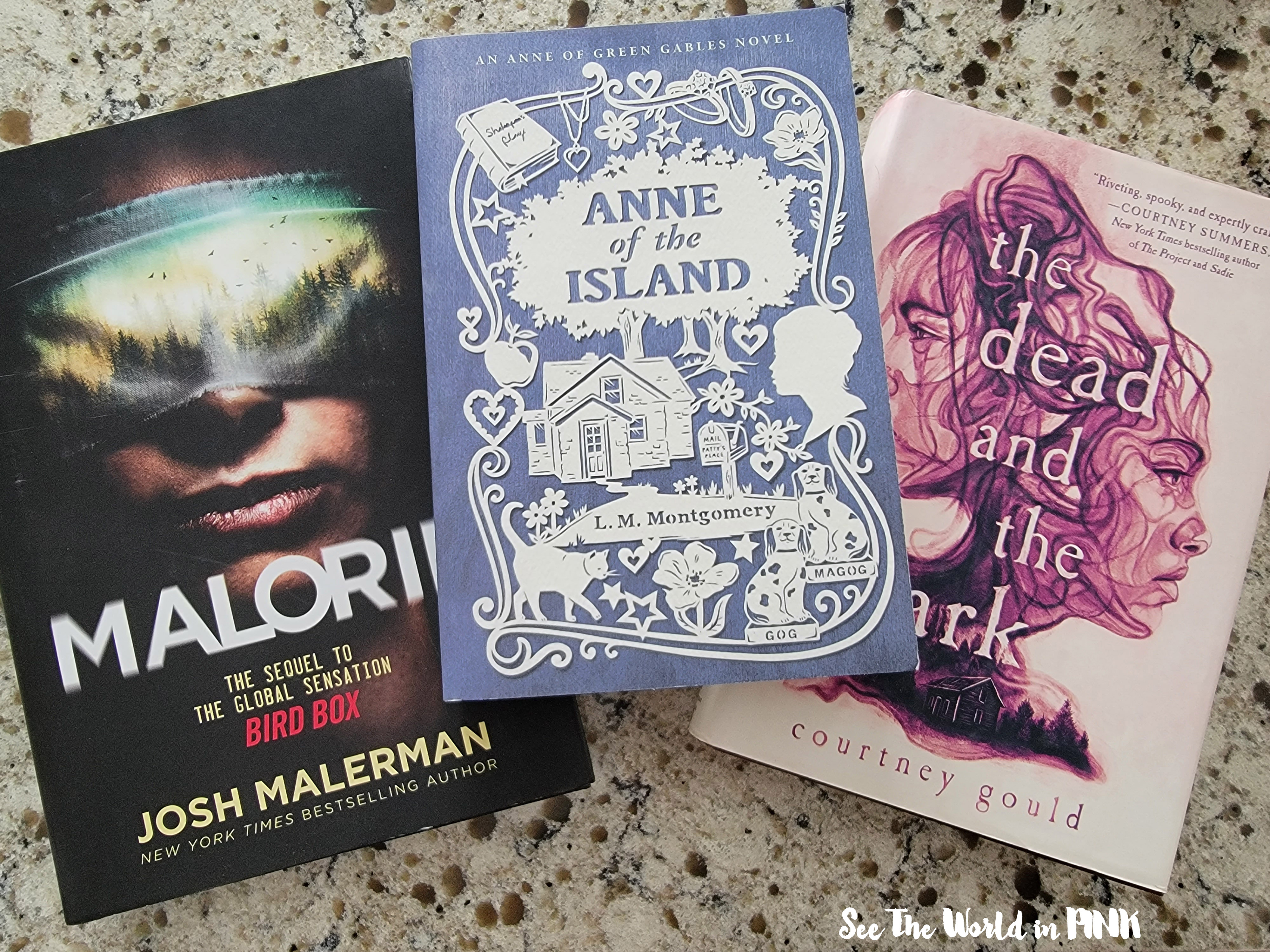 Monthly Beauty & Book Haul ~ February 2022