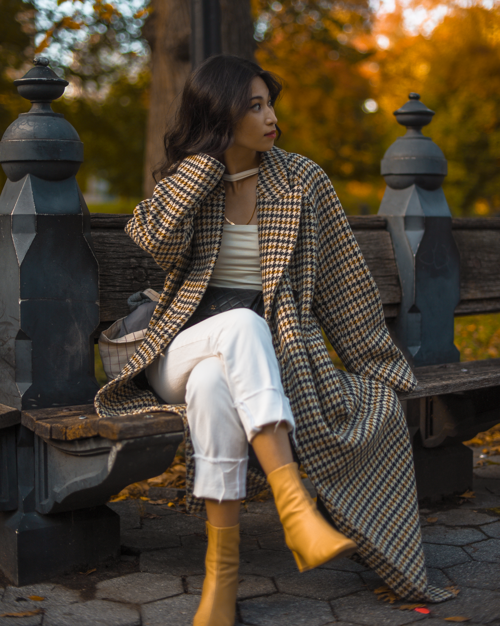 Fall plaid oversized coat, beige outfit ideas for fall, fall style in New York, Central Park fashion photo ideas, Aritzia Wilfred Prescott Wool Coat - FOREVERVANNY.com